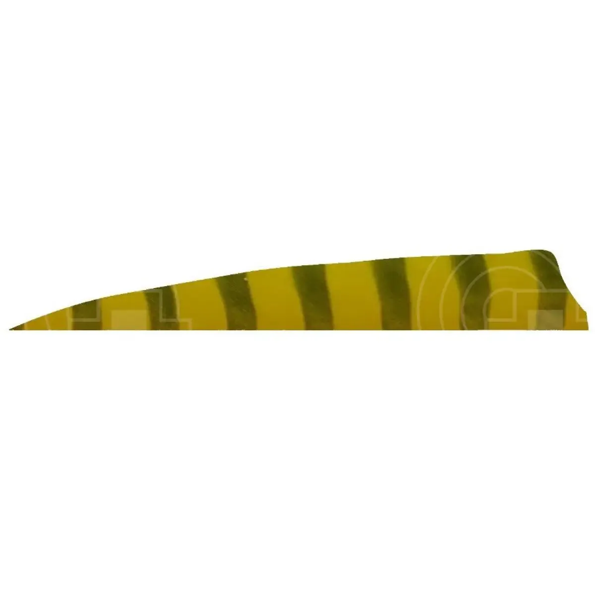 3.0” Barred Feathers Shield Cut (RW)