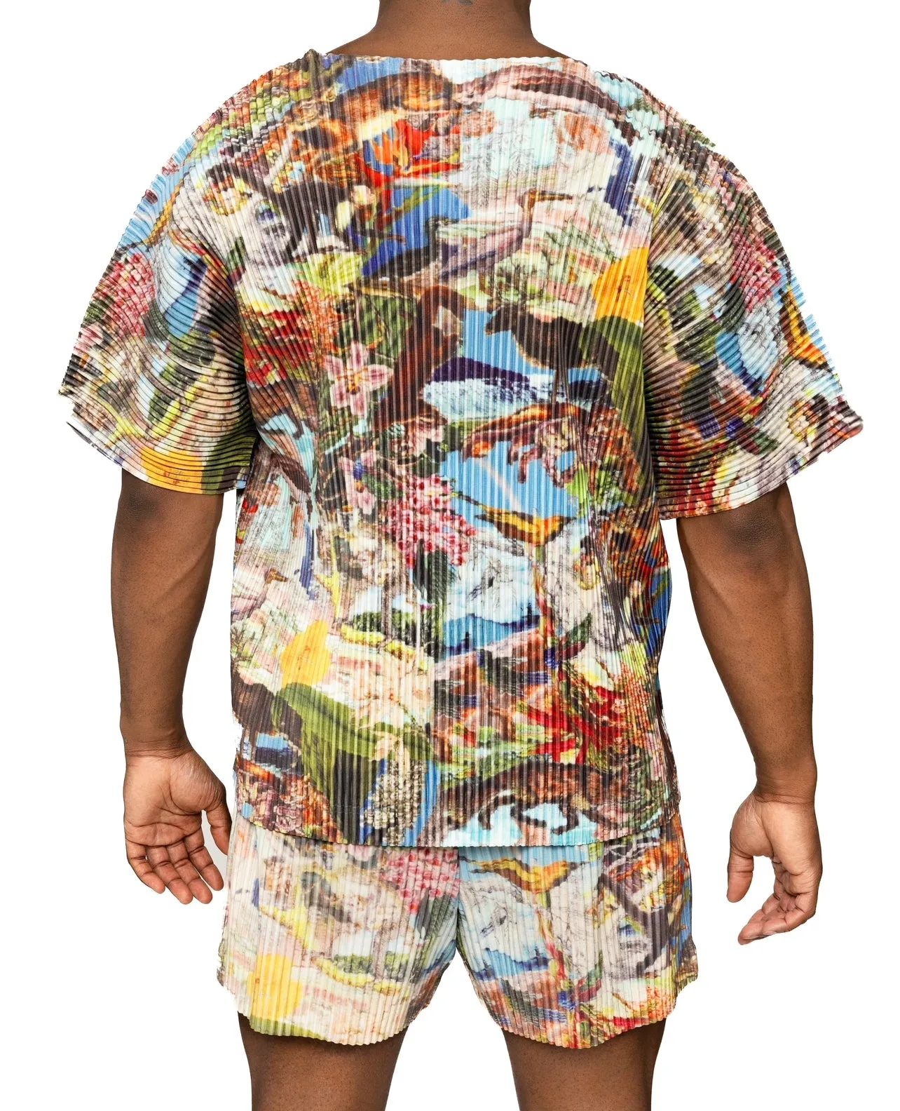 Bird Of Paradise Pleated Shorts Set