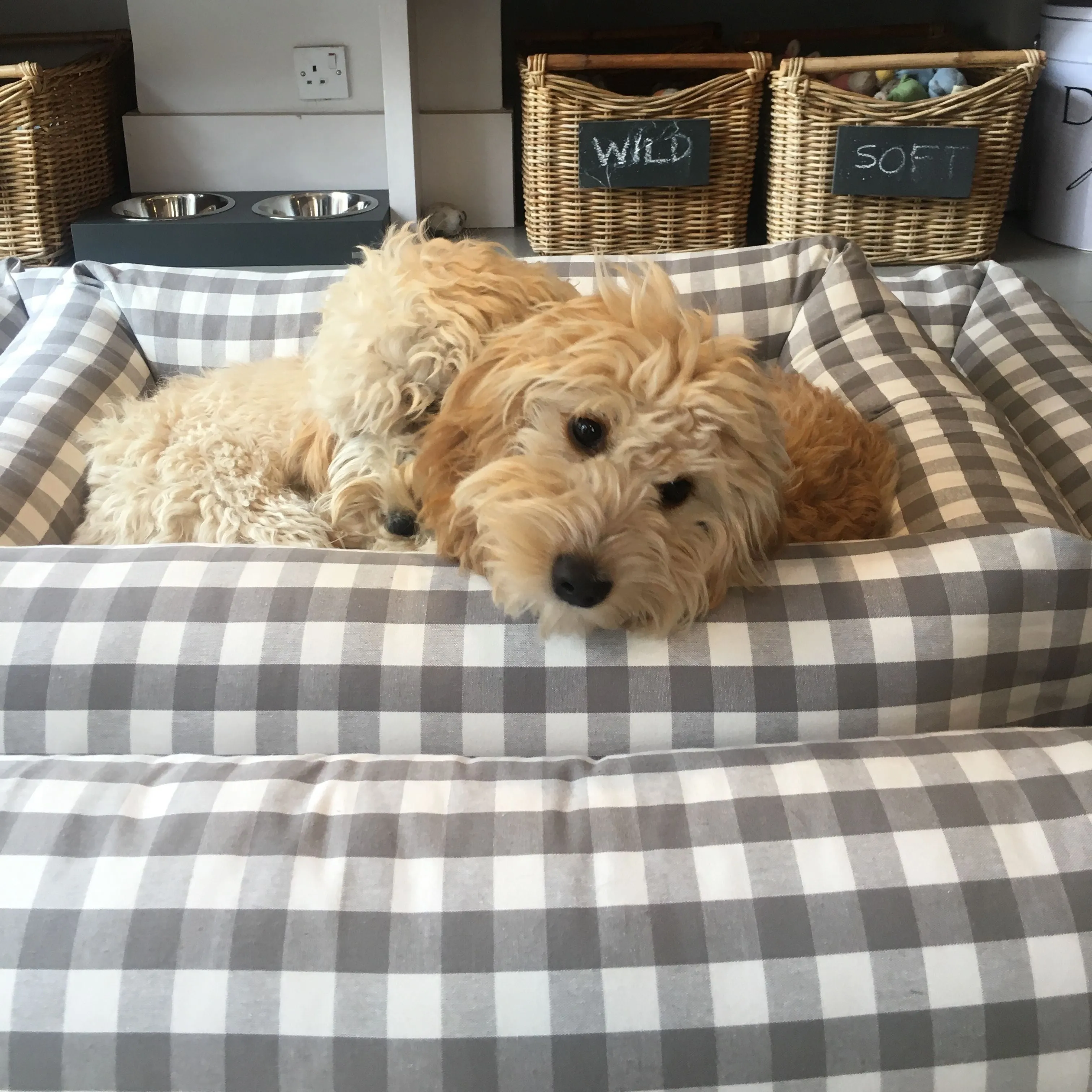 Bolster Dog Bed — Vichy