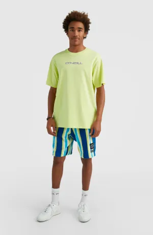 Brights Terry Shorts | Blue Towel Stripe