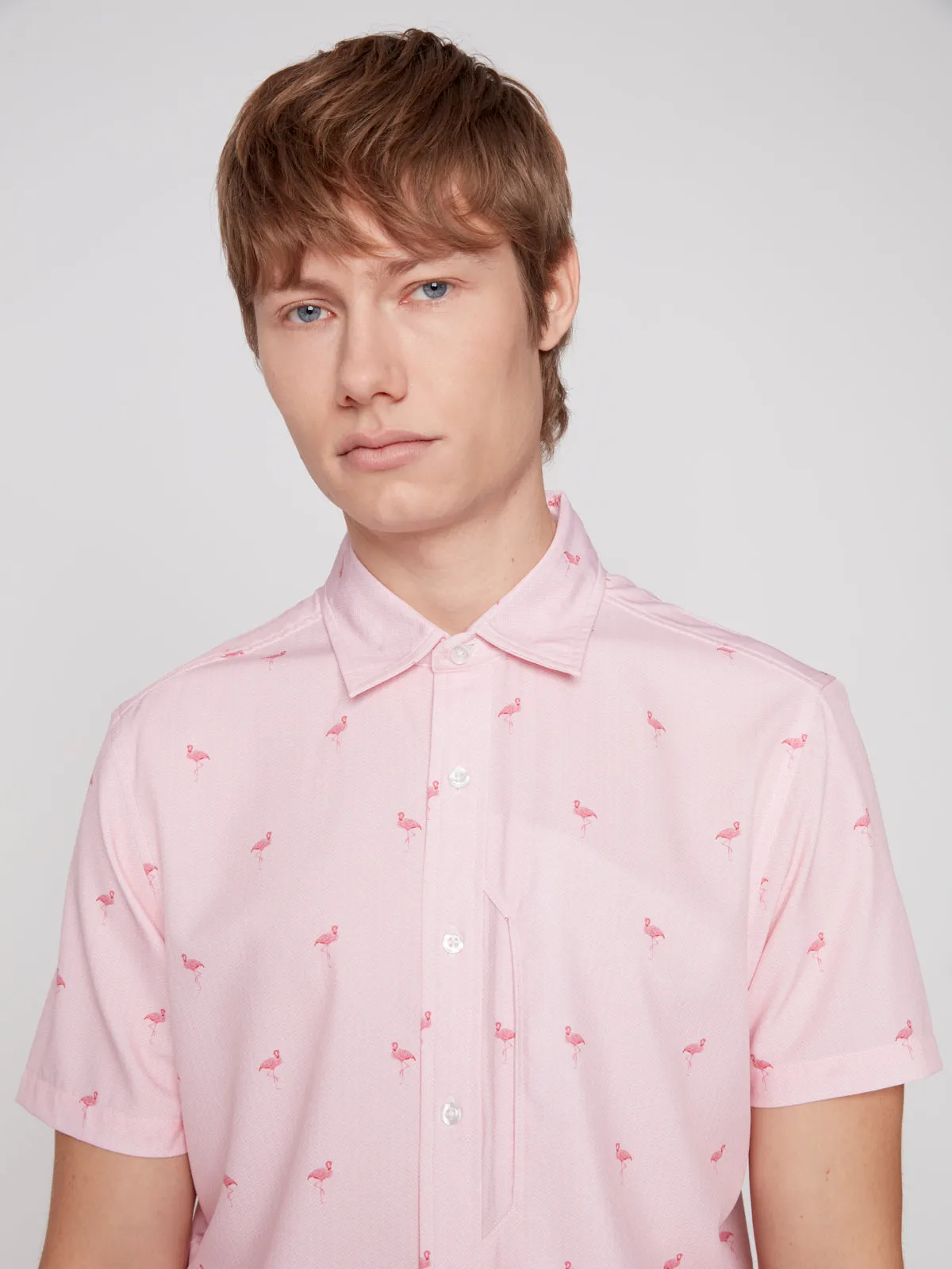 CARL-PINK