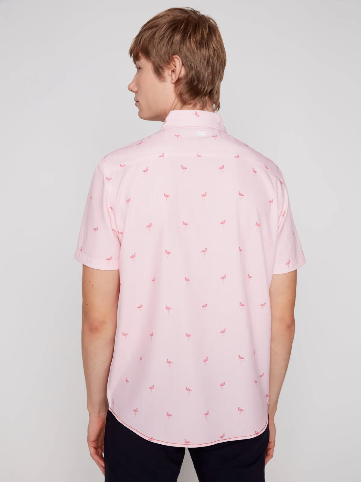 CARL-PINK