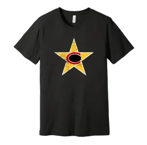 Charlotte Distressed Logo Shirt - Defunct Football Team - Celebrate North Carolina Heritage and History - Hyper Than Hype