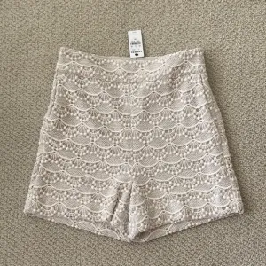 NEW Express High Rise Scalloped Lace Shorts Business Chic Cream 00 0 NWT RARE