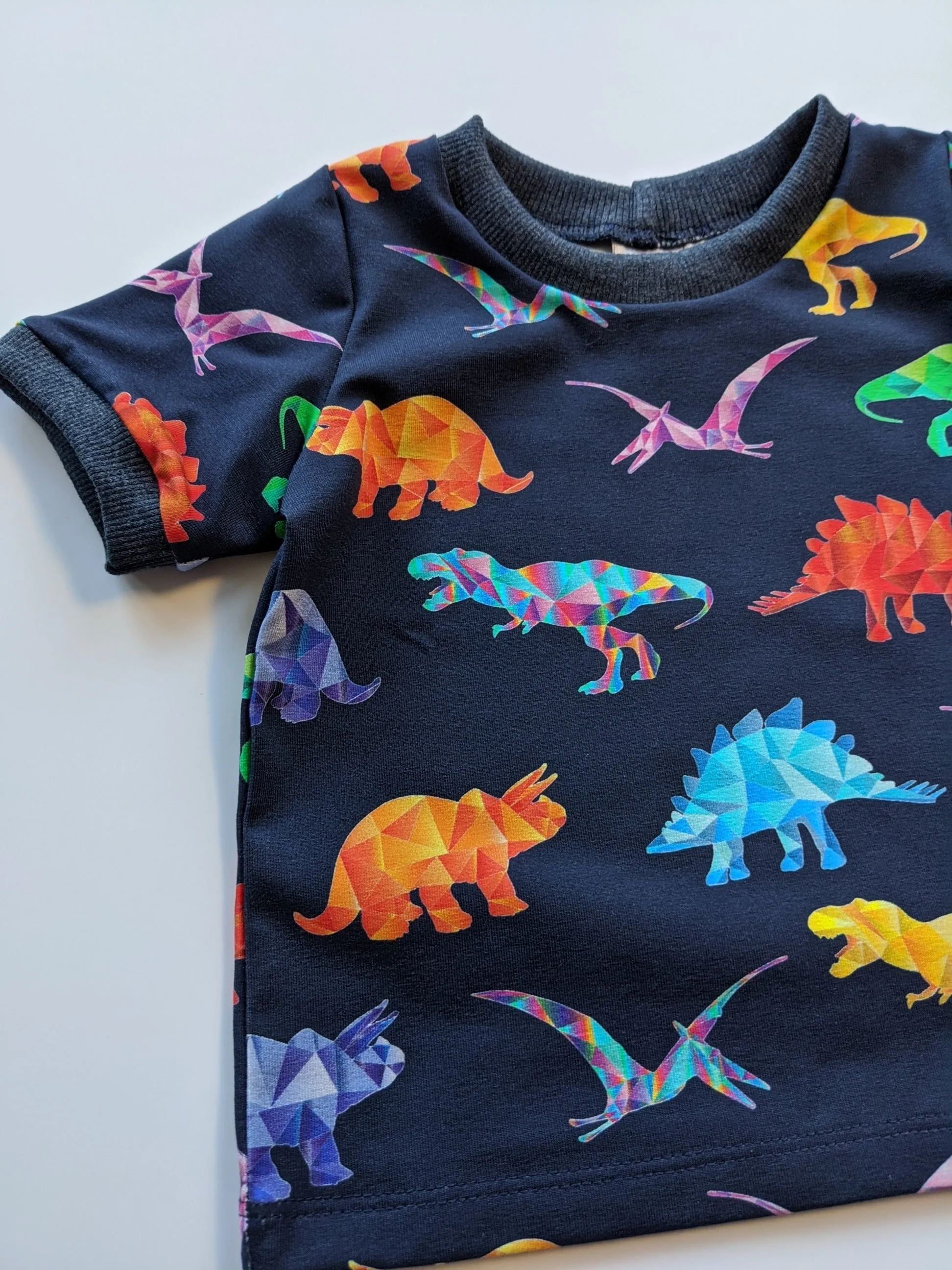 Organic Rainbow Dinosaur T-shirt