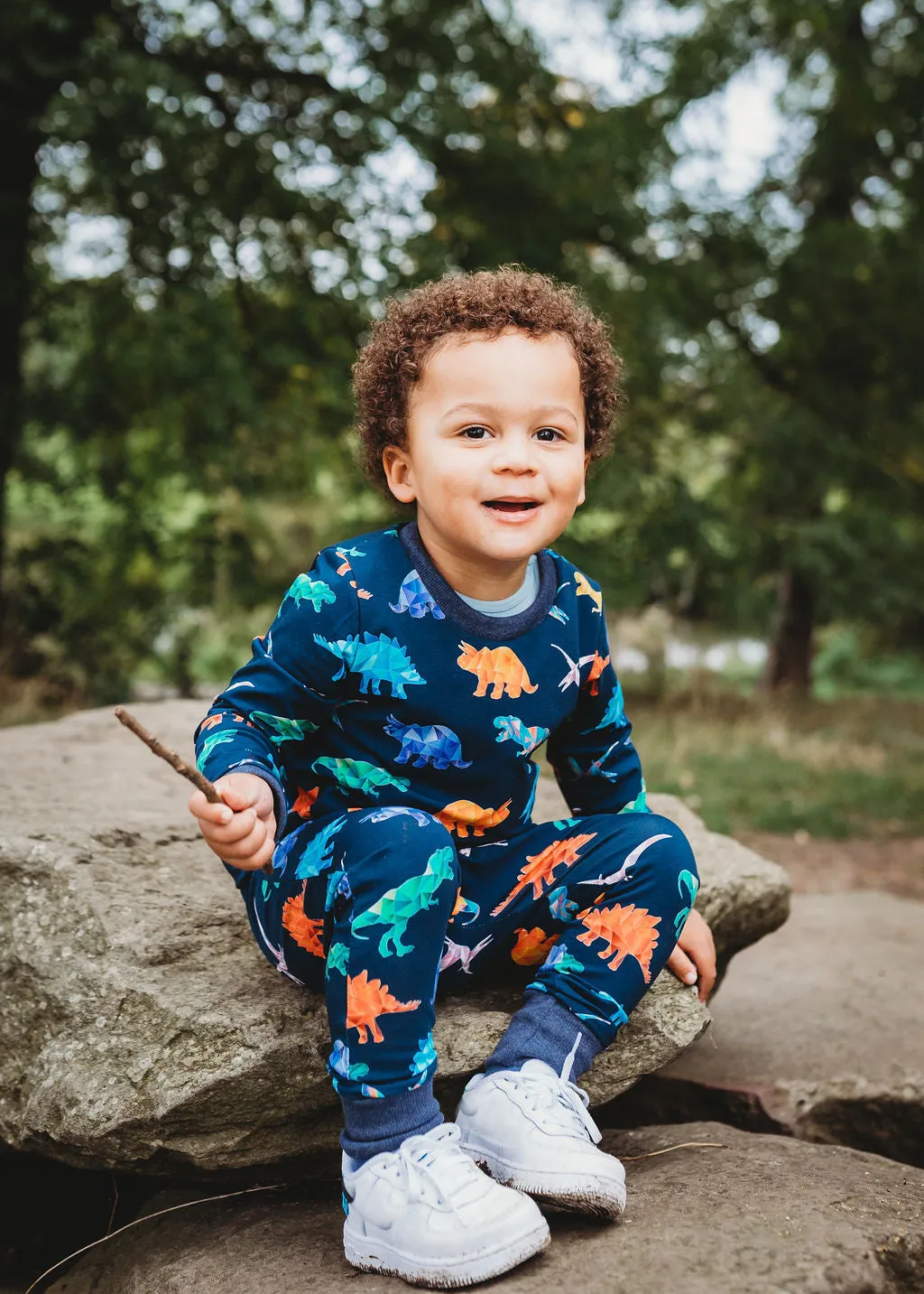 Organic Rainbow Dinosaur T-shirt