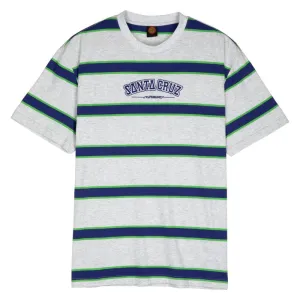 Santa Cruz T-Shirt Collegiate SC Stripe - Heather Stripe