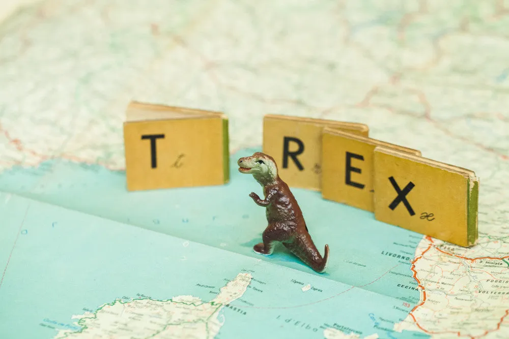 T is for T-Rex Dinosaur // Vintage Alphabet Photograph Series